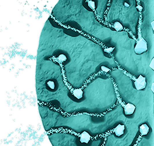 Scientific illustration of the microspheres releasing a corticosteroid.
