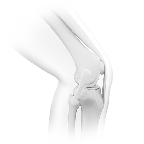 knee neutral 3 resized